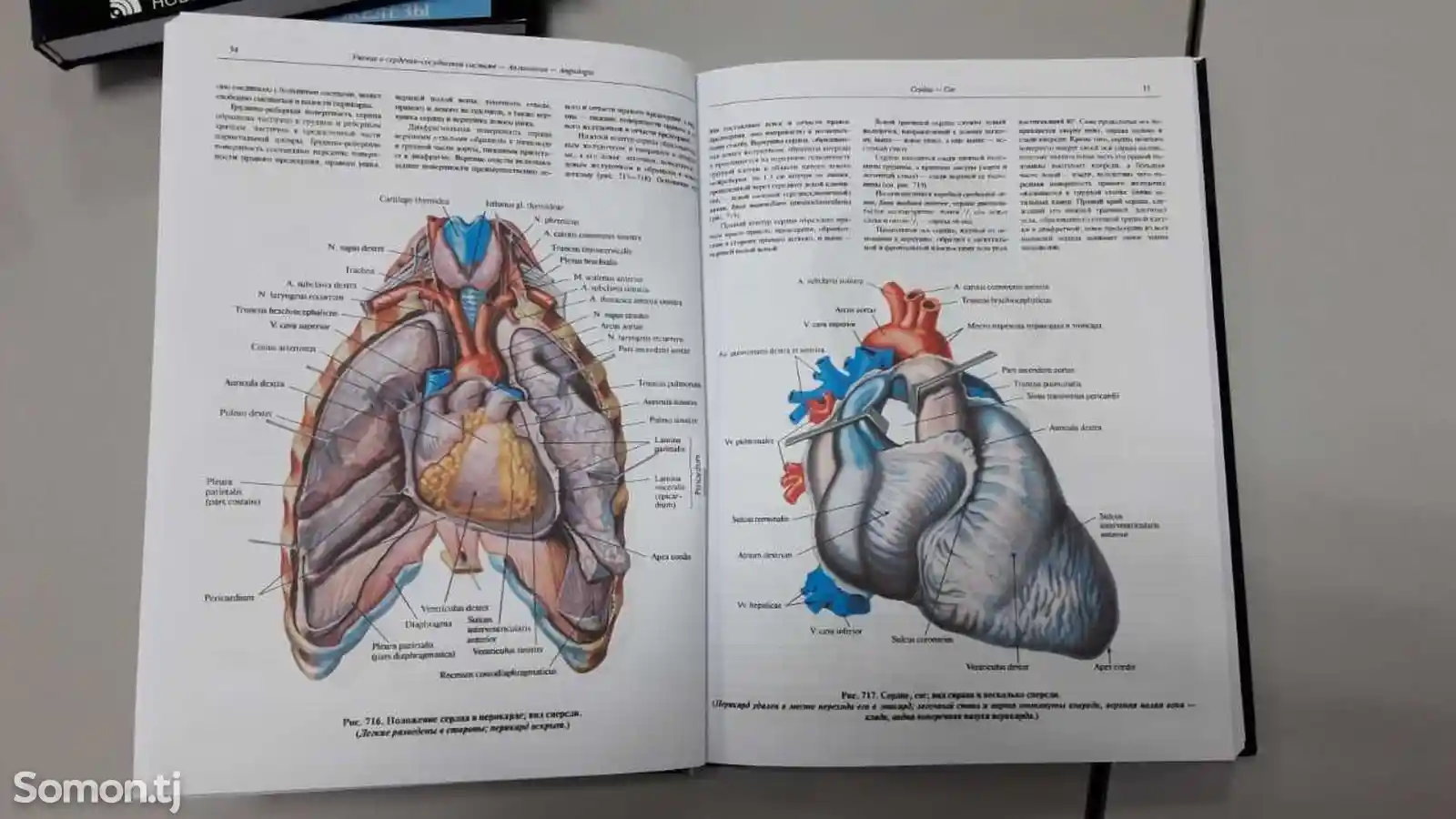 Книга Атлас анатомии человека-3