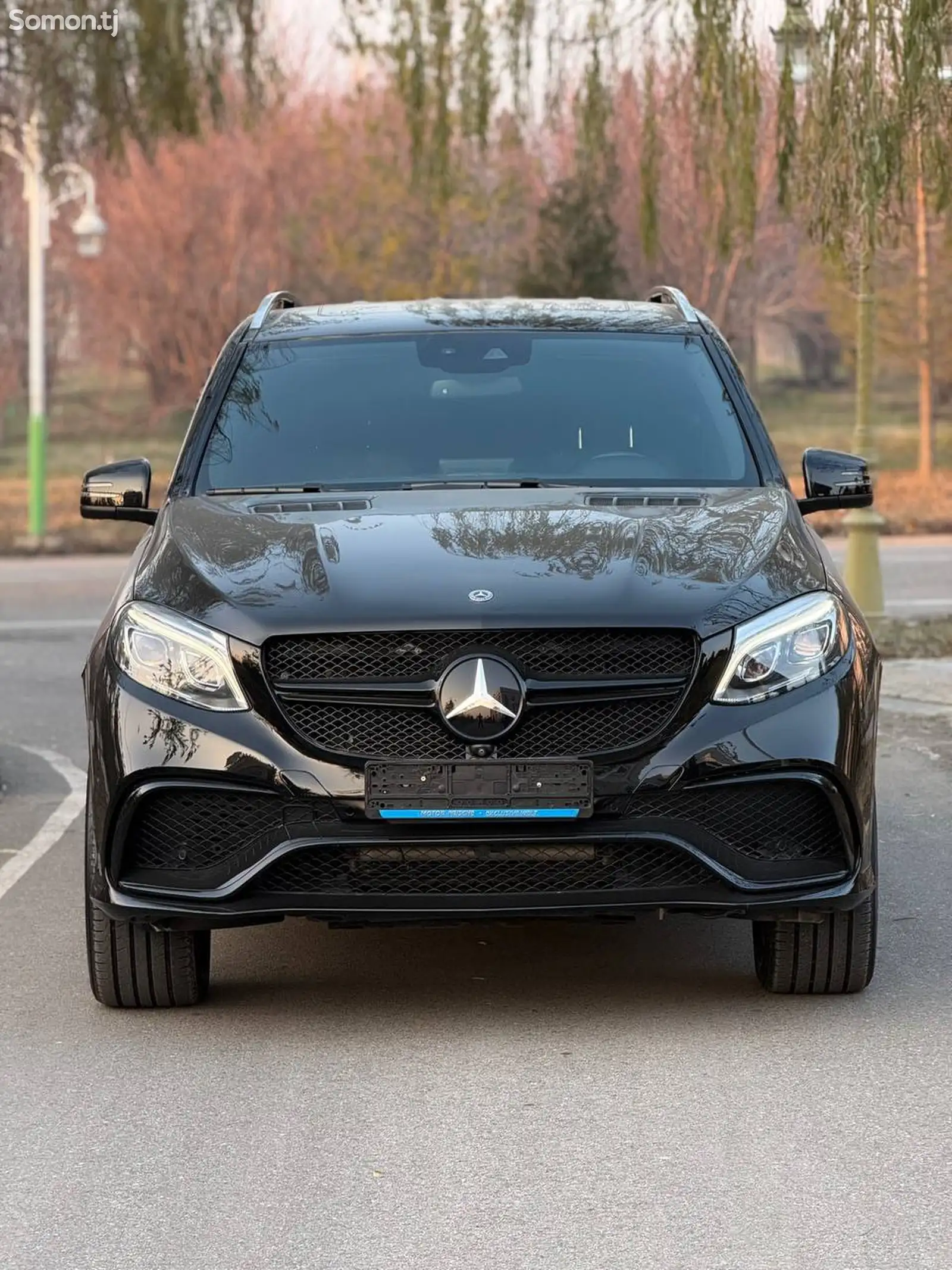 Mercedes-Benz GLE class, 2016-1