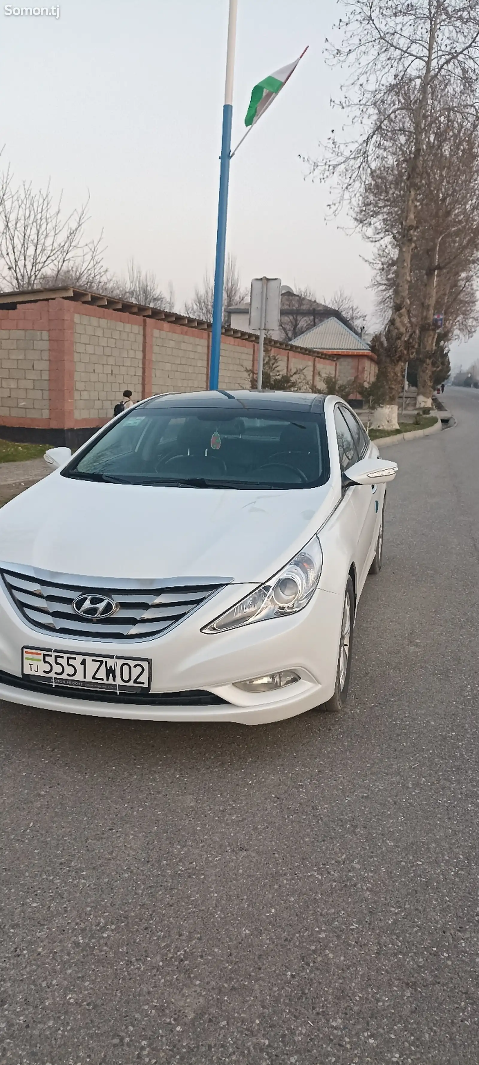 Hyundai Sonata, 2010-1