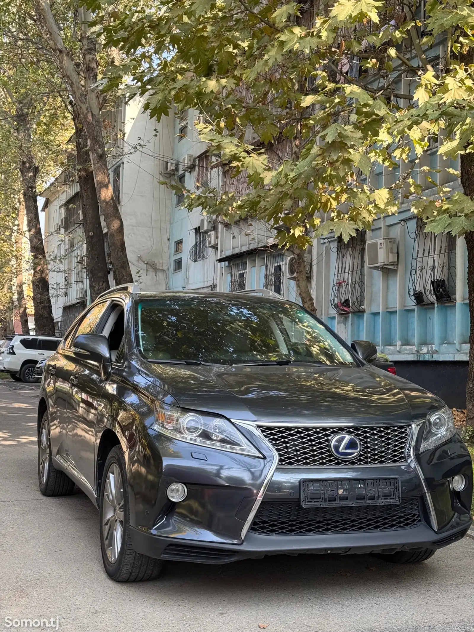 Lexus RX series, 2010-1