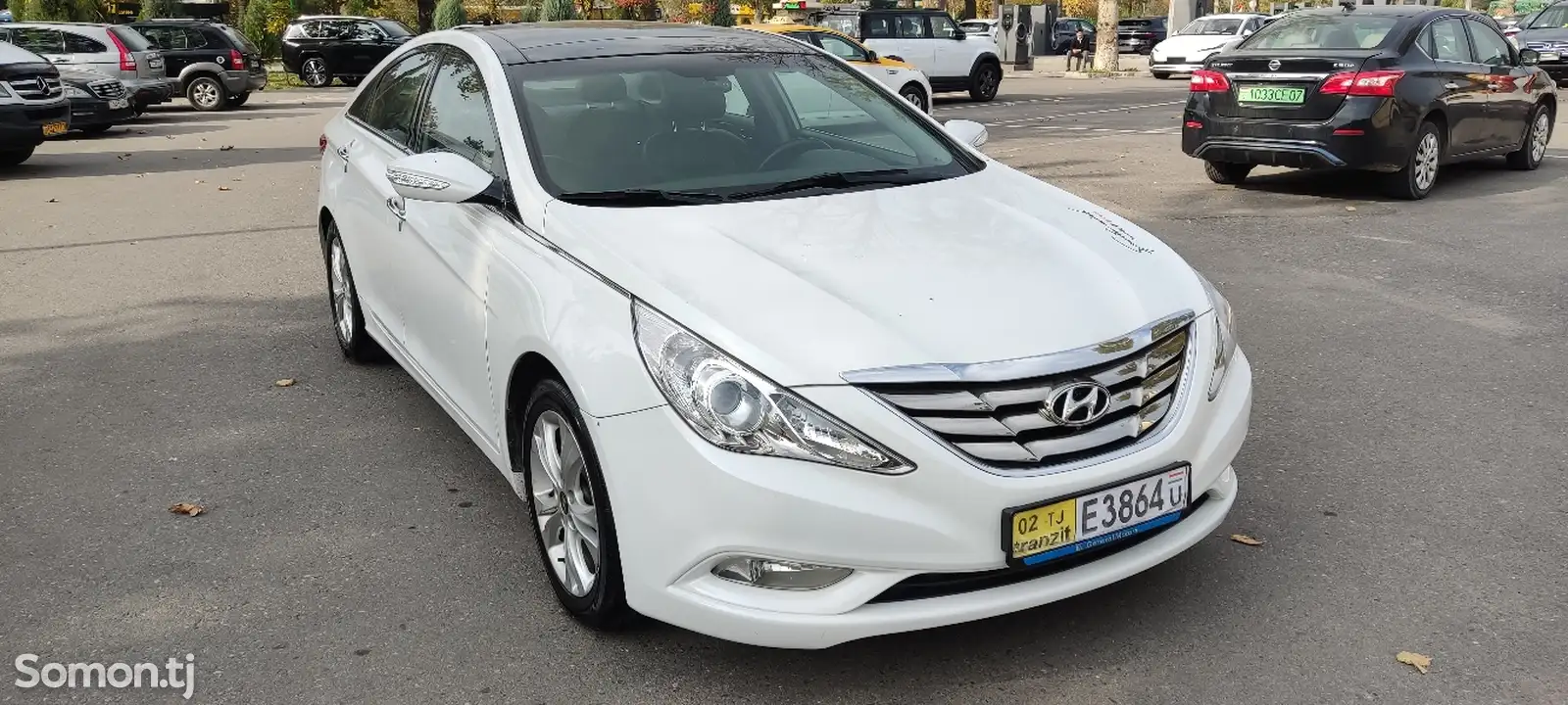 Hyundai Sonata, 2010-1