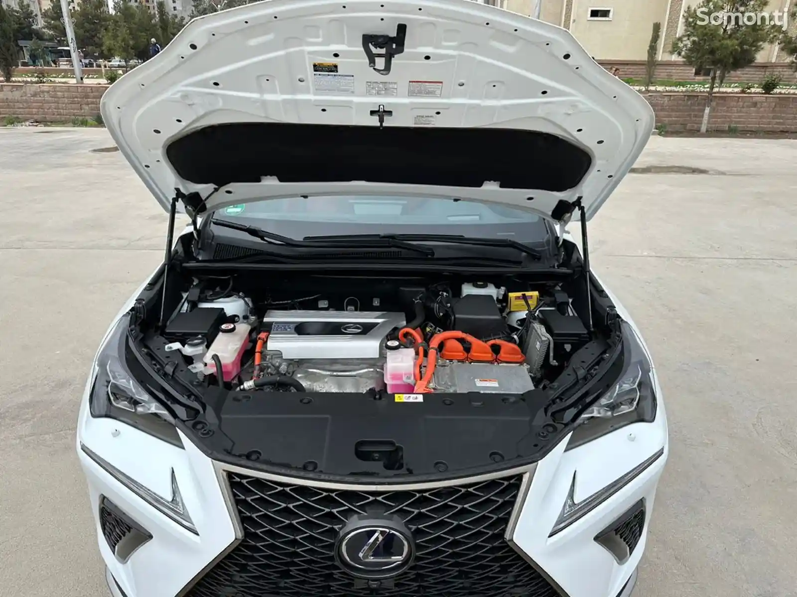 Lexus NX series, 2018-7