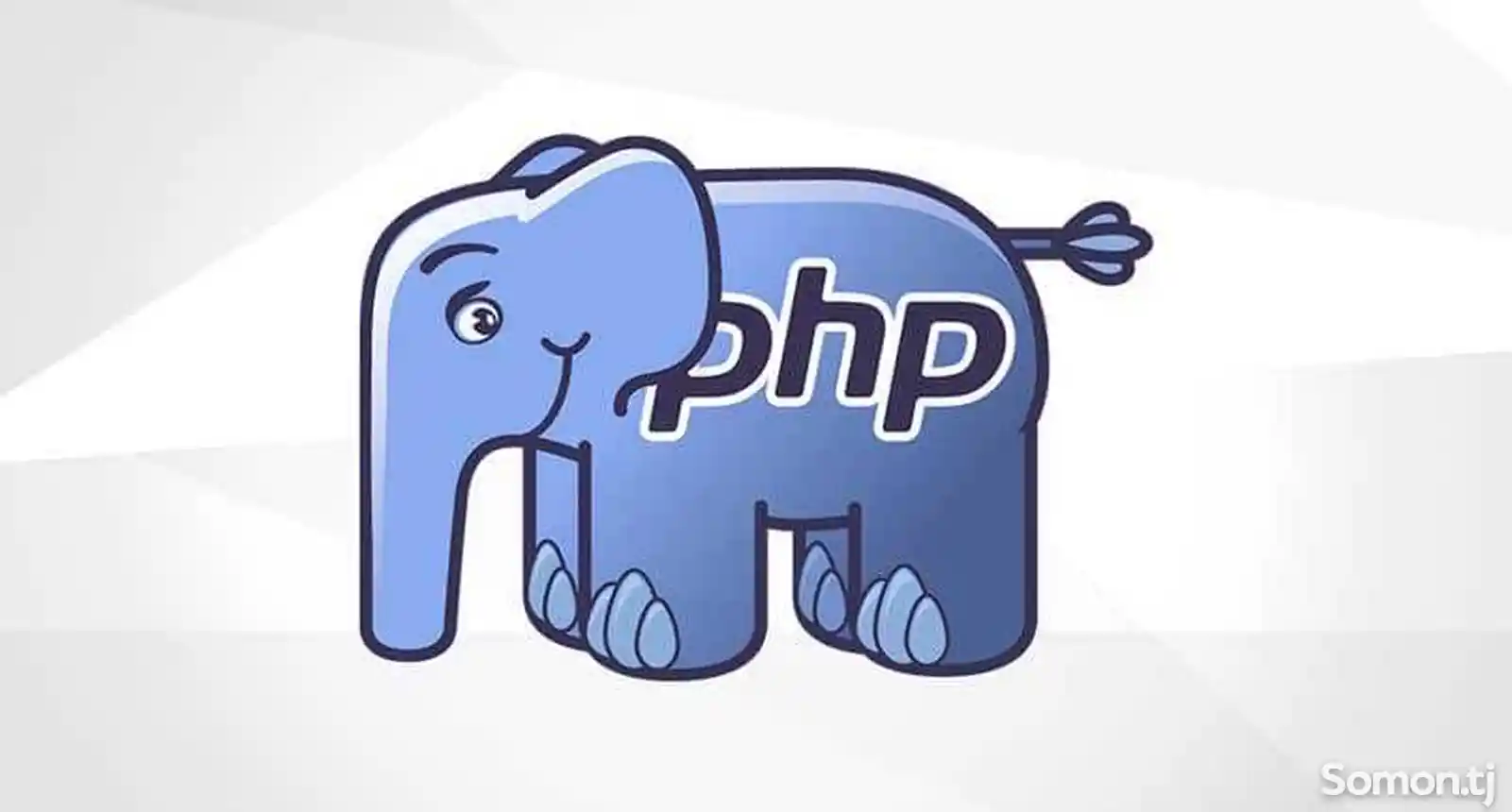 Курсы программирования на языке php-1