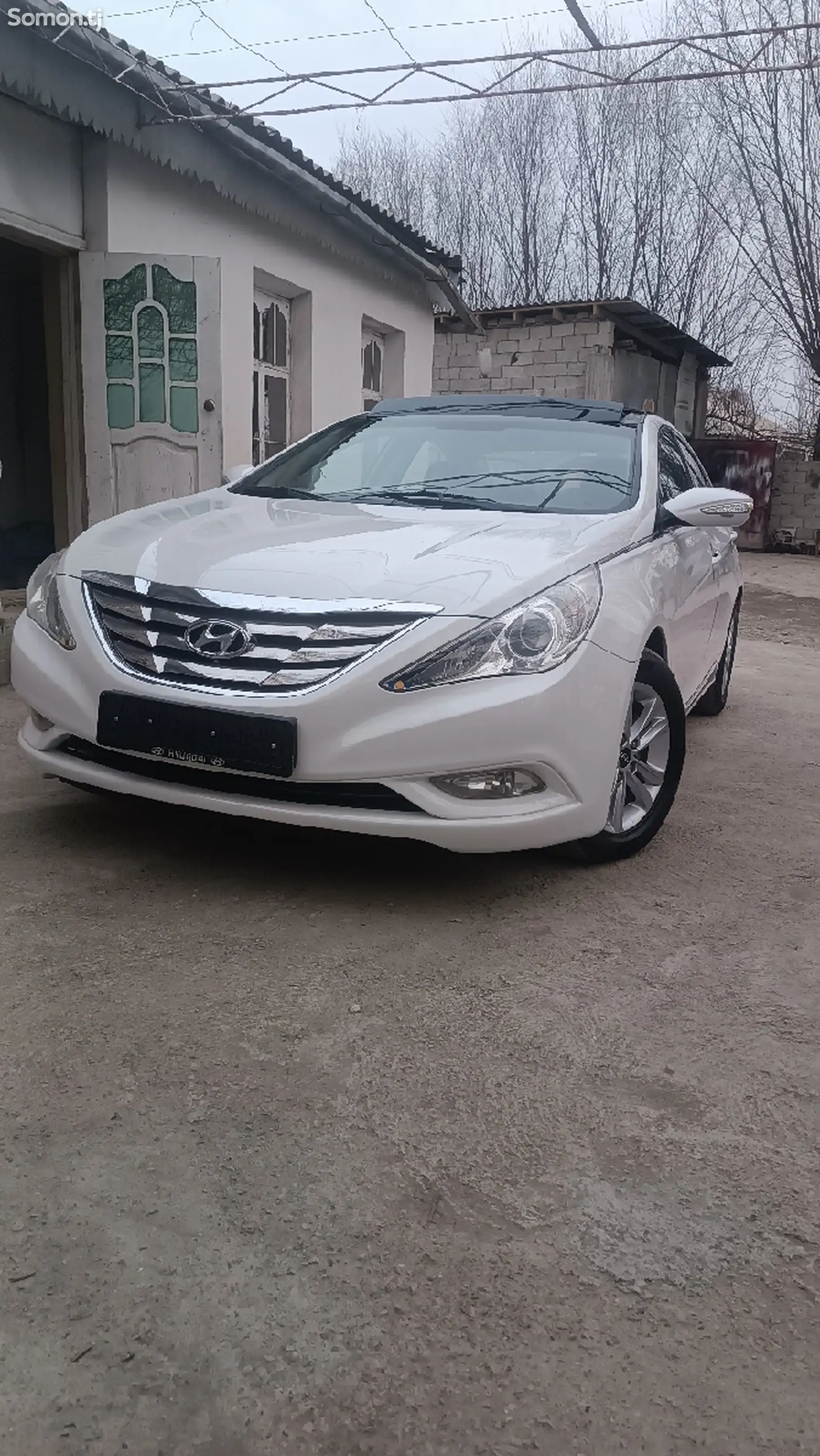 Hyundai Sonata, 2010-1