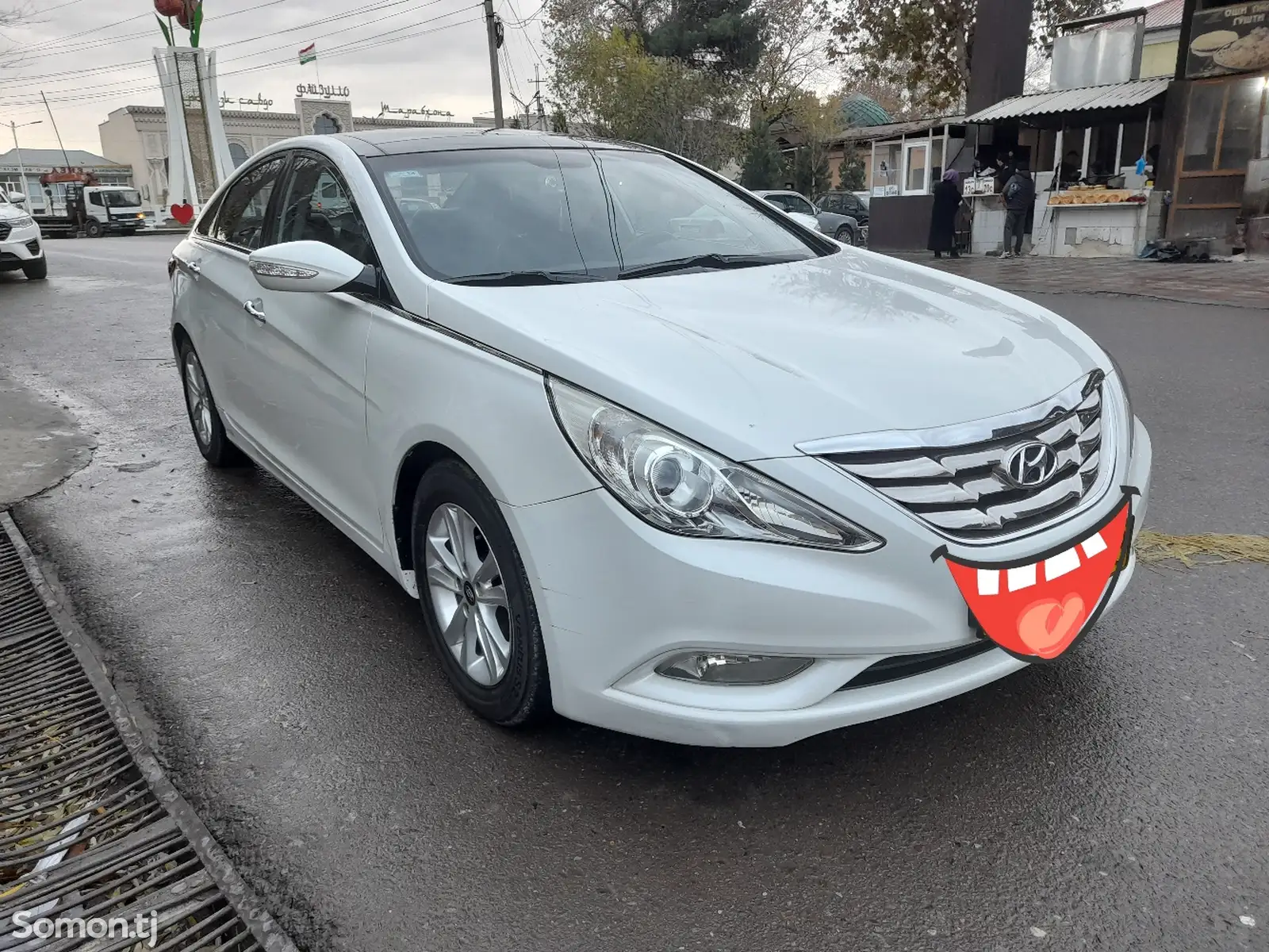 Hyundai Sonata, 2010-1