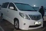 Toyota Alphard, 2010-2