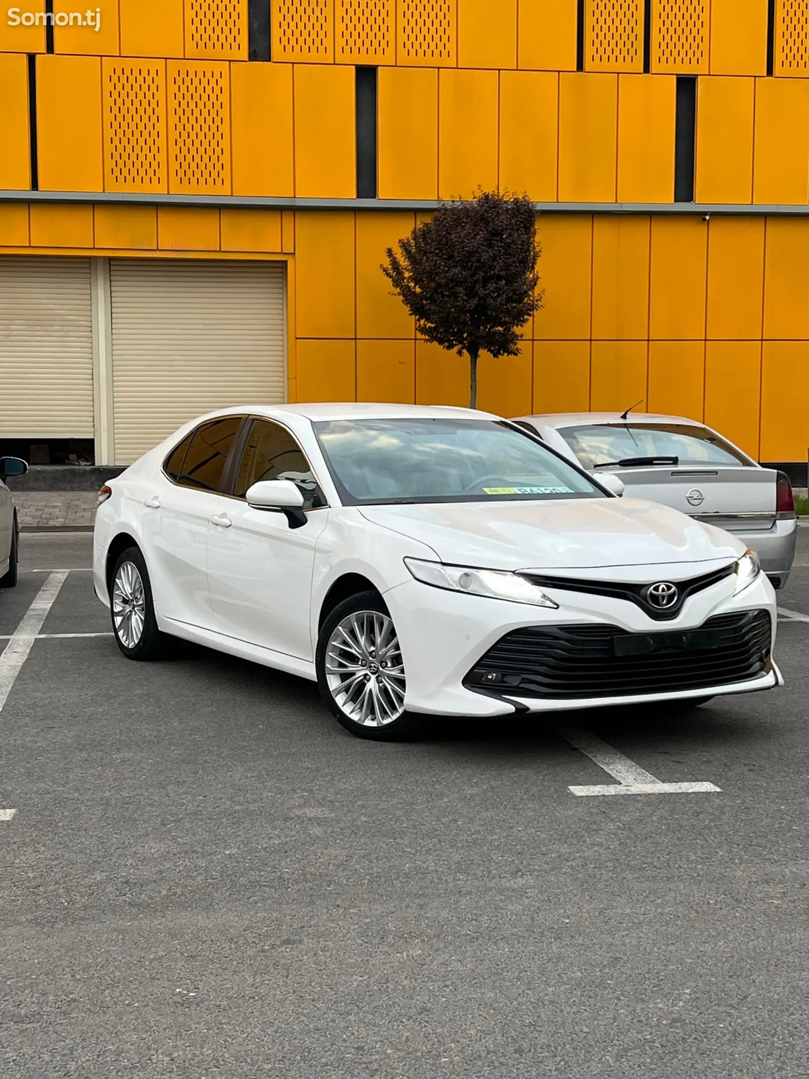 Toyota Camry, 2019-1