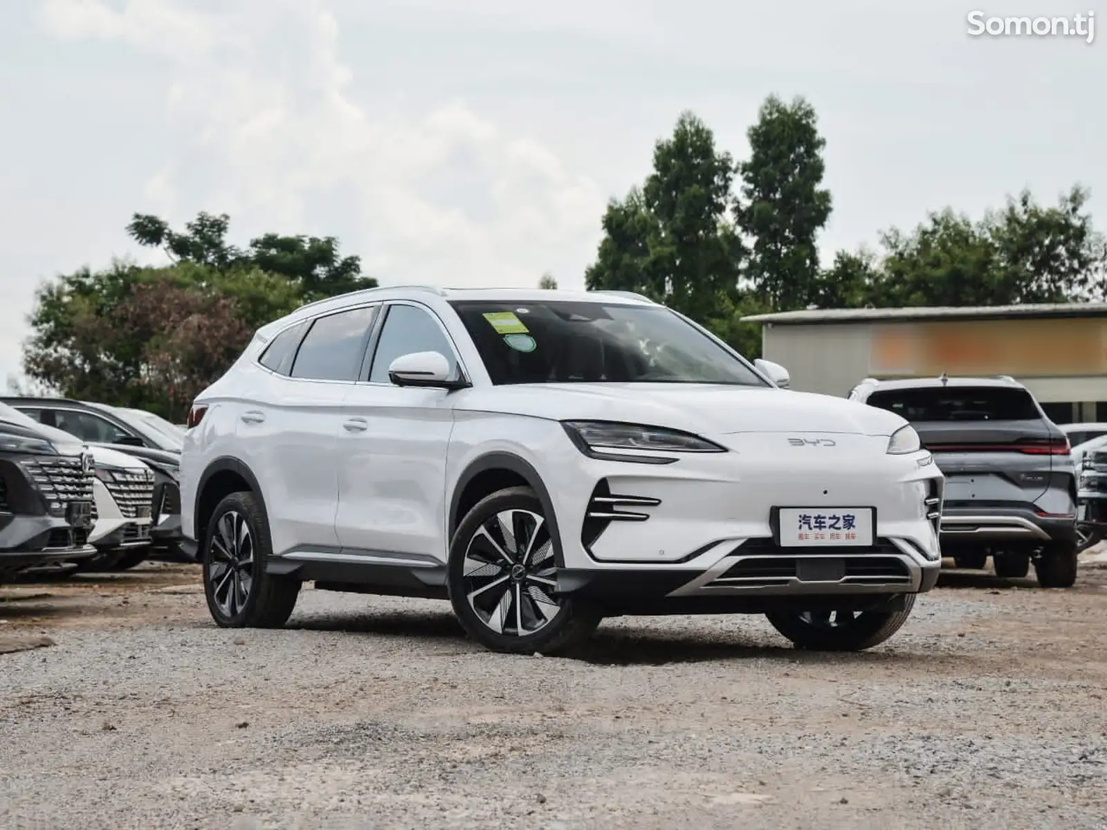 BYD Song Plus Flagship, 2024-1