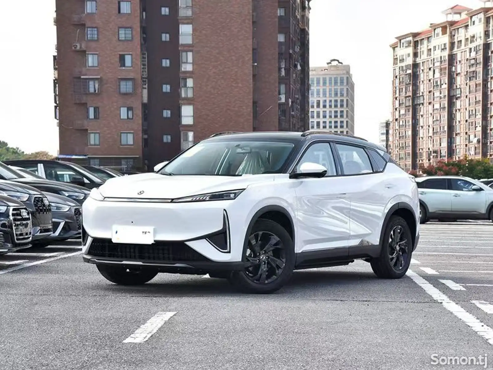 Dongfeng, 2024-1