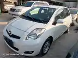 Toyota Vitz, 2009-2