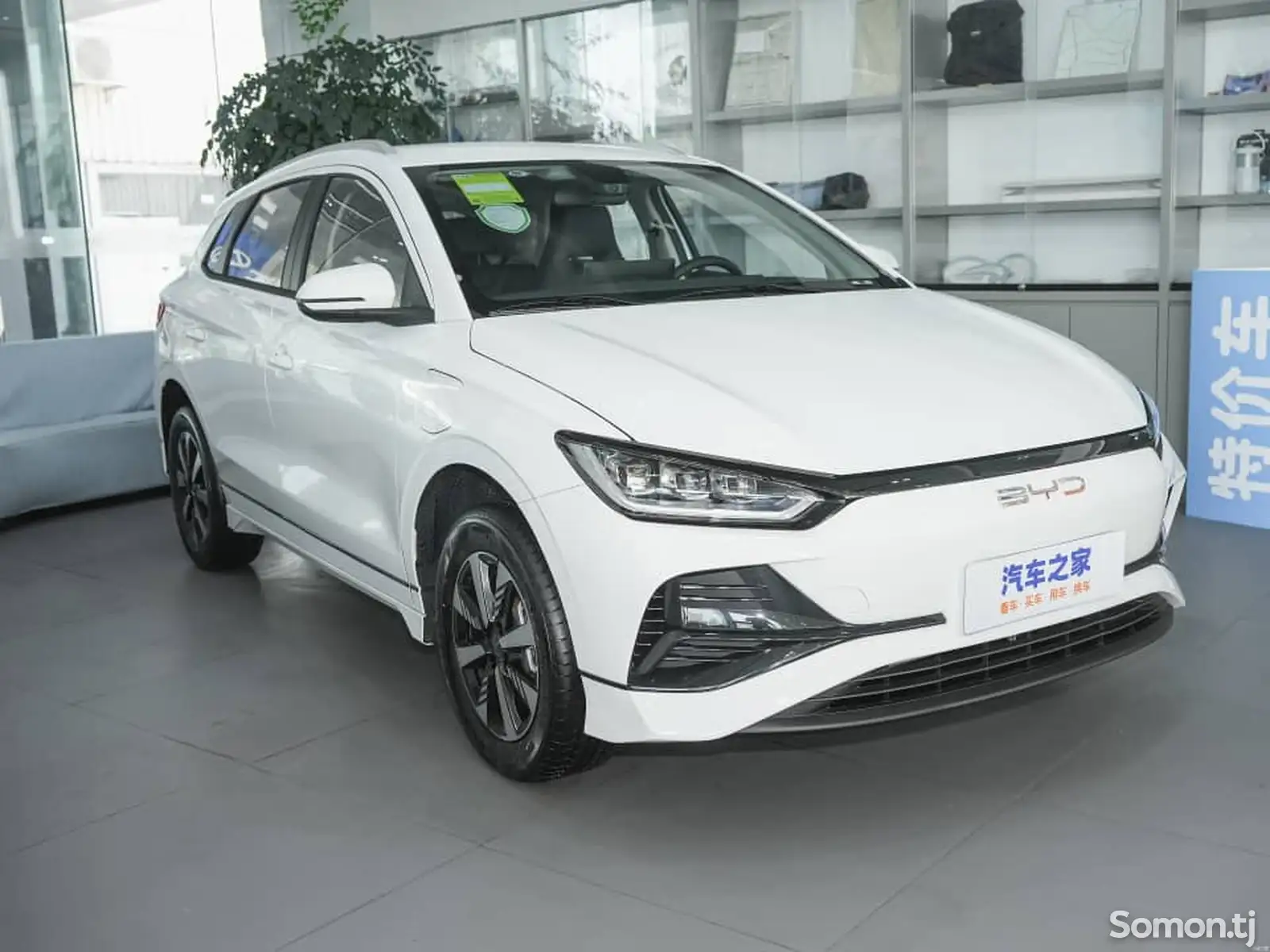 BYD E2, 2024-1