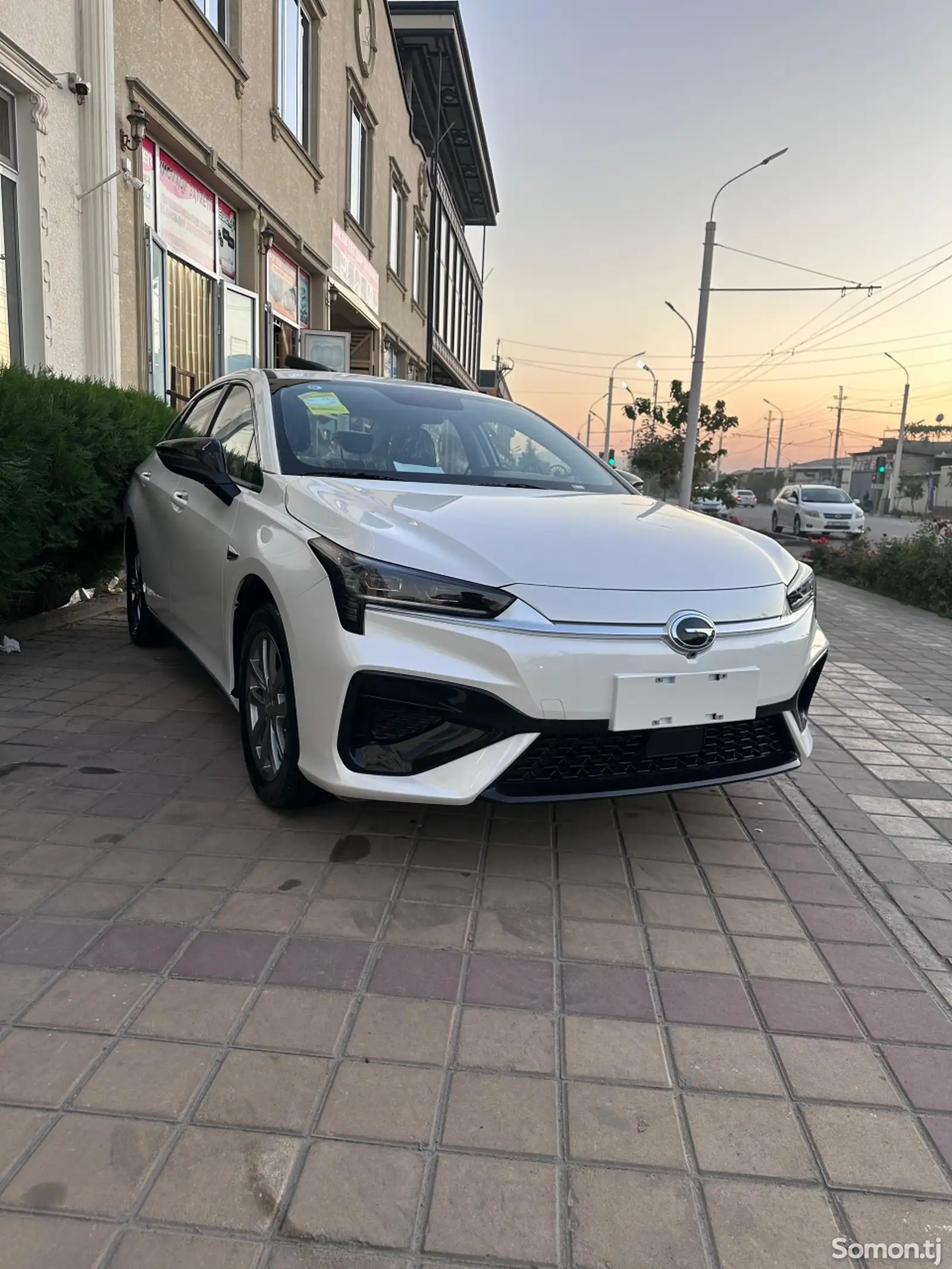 BYD Другие модели, 2024-1