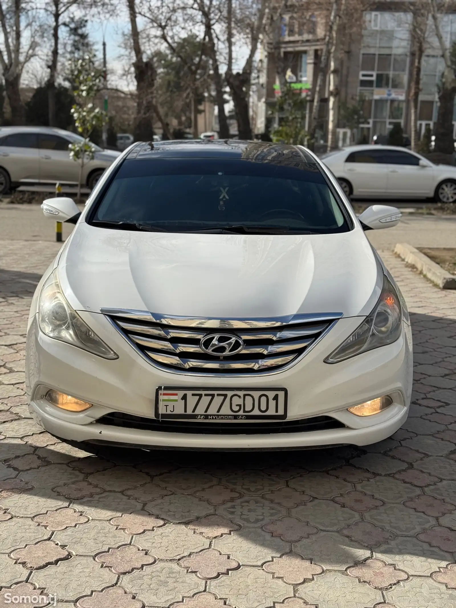 Hyundai Sonata, 2010-1