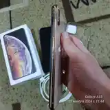 Apple iPhone Xs Max, 64 gb, Gold-6