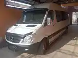 Микроавтобус Mercedes-Benz Sprinter, 2007-3