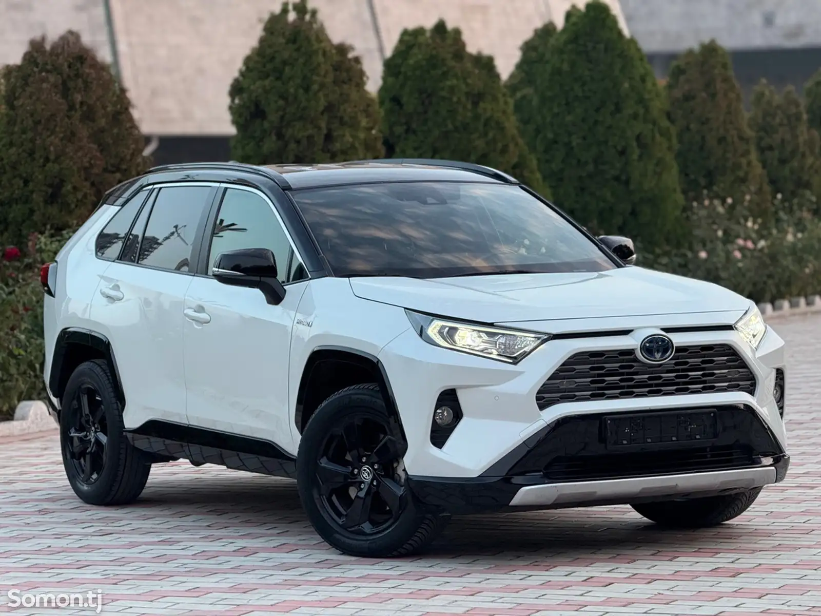 Toyota RAV 4, 2022-1