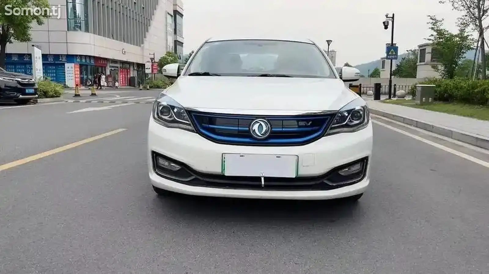 Dongfeng Landian E5, 2019-1