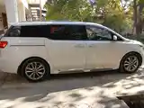 Kia Carnival, 2014-3