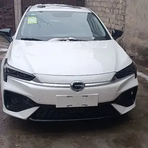 BYD , 2024