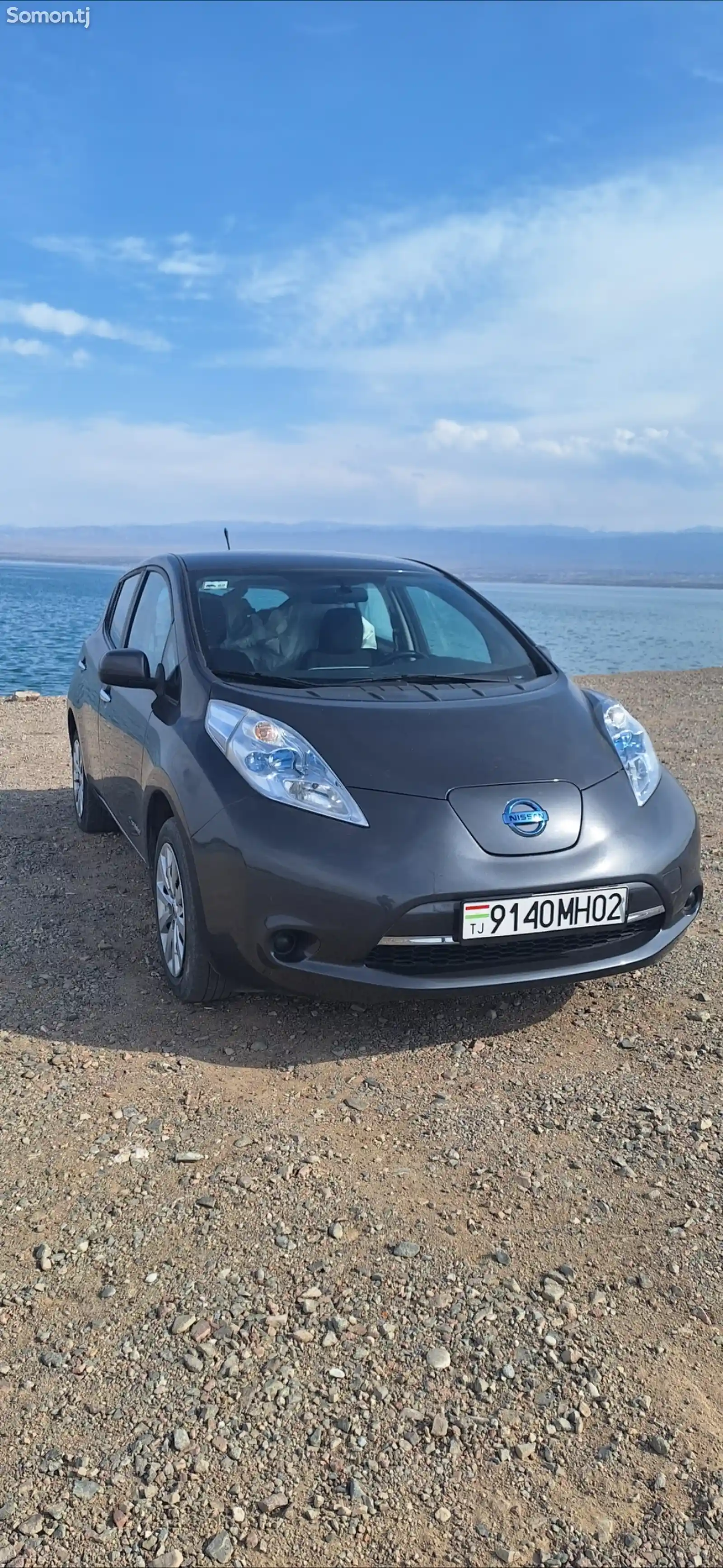 Nissan Leaf, 2013-1