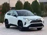 Toyota RAV 4, 2022-4