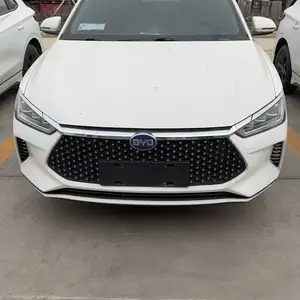 BYD E2, 2020