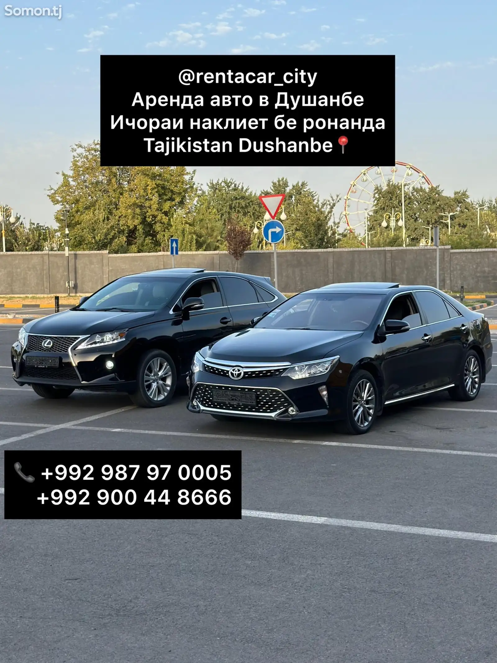 Аренда автомобиля-1