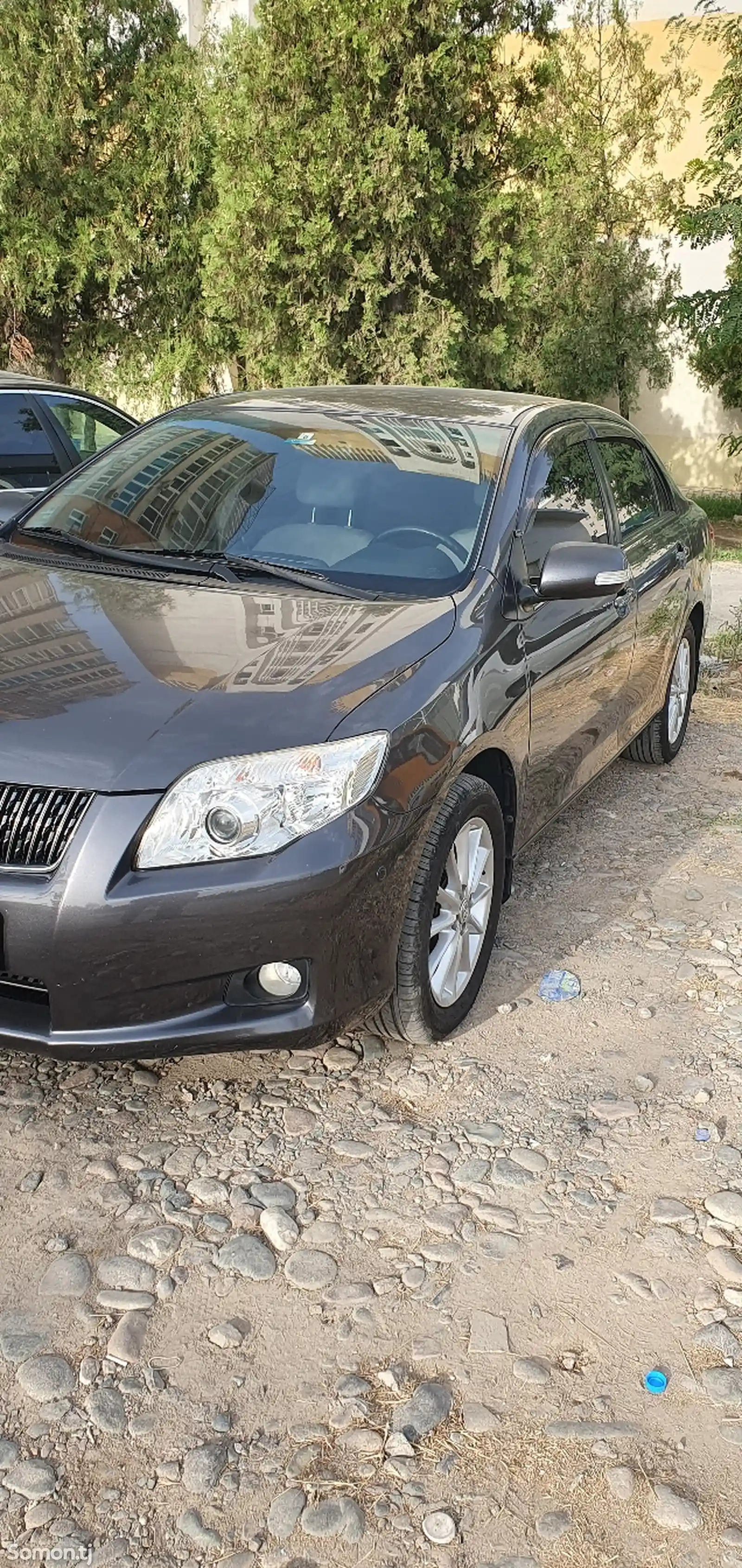 Toyota Axio, 2008-2