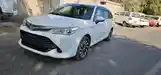 Toyota Fielder, 2017-8