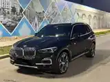 BMW X5, 2020-3