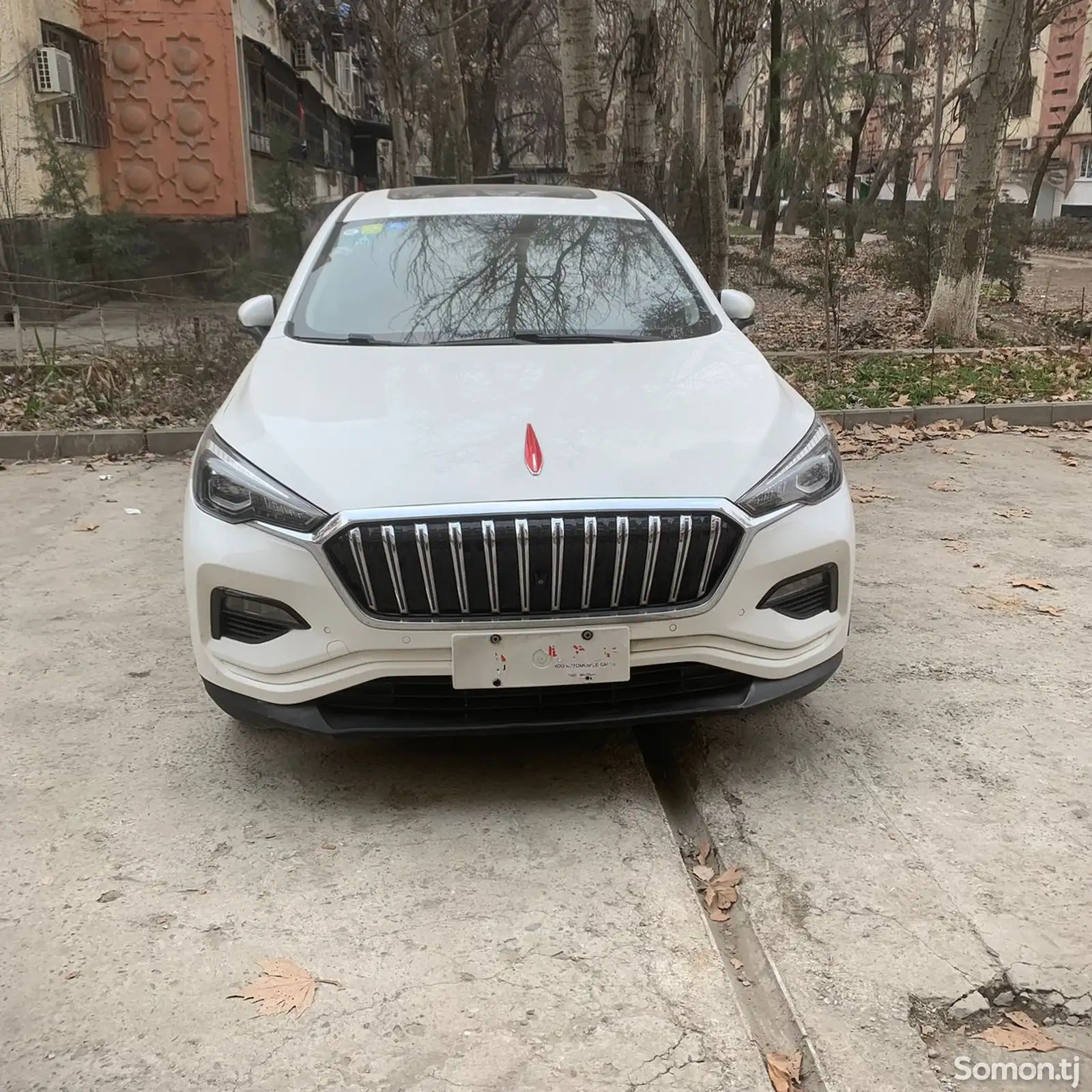 Hongqi E-HS3, 2019-1