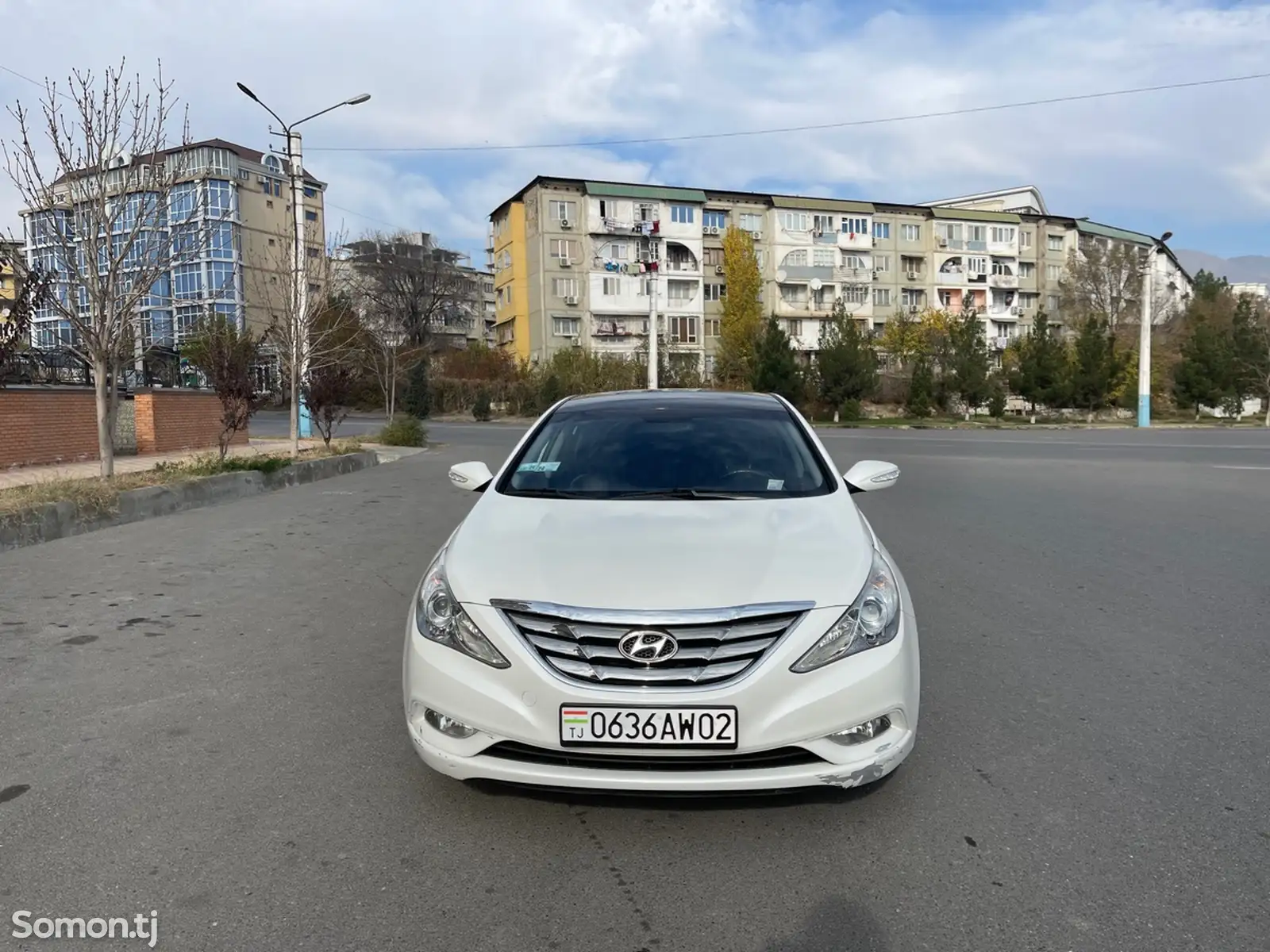 Hyundai Sonata, 2010-1