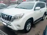 Toyota Land Cruiser Prado, 2013-3