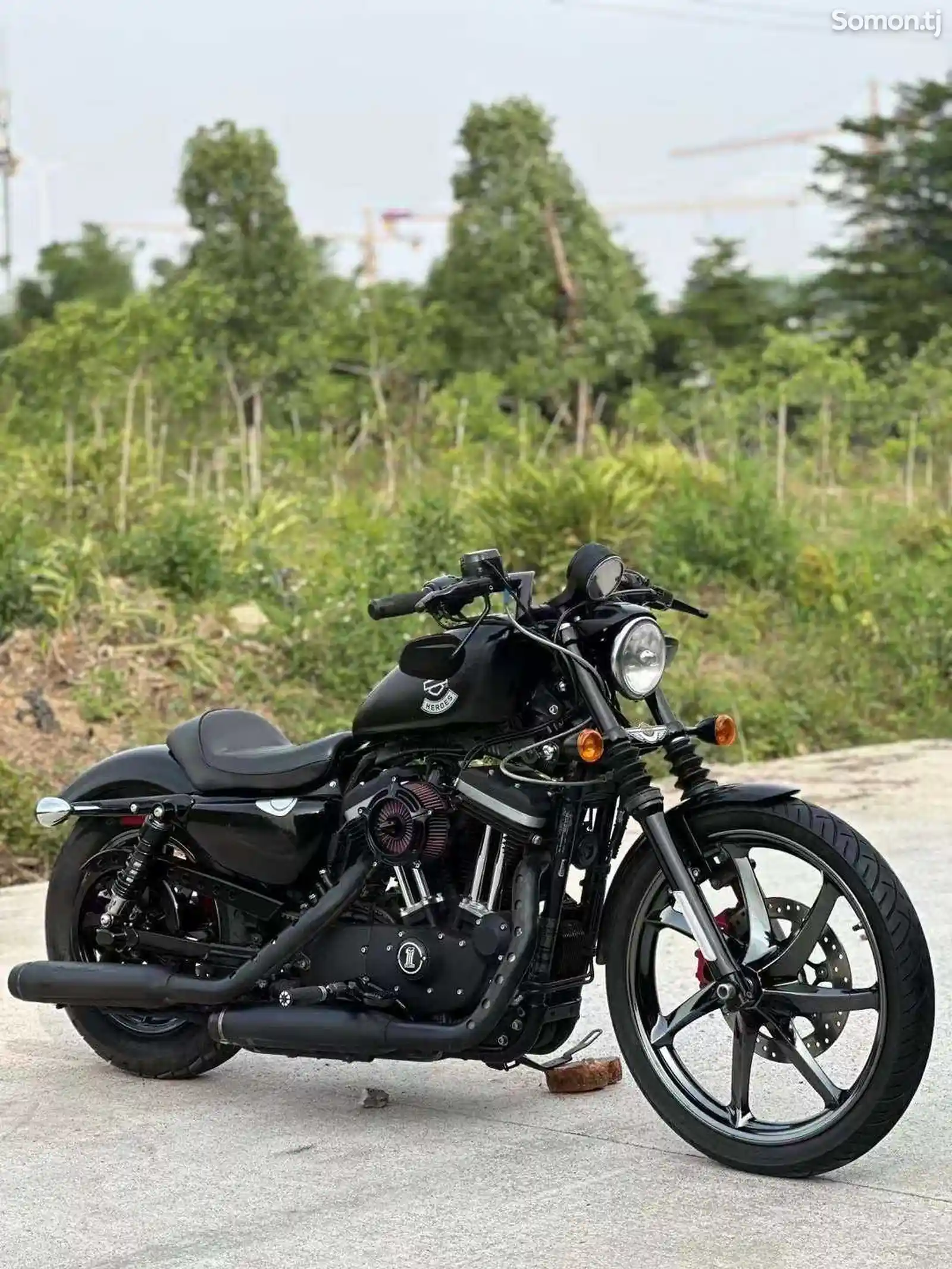Мотоцикл Harley Davidson 883N на заказ-1