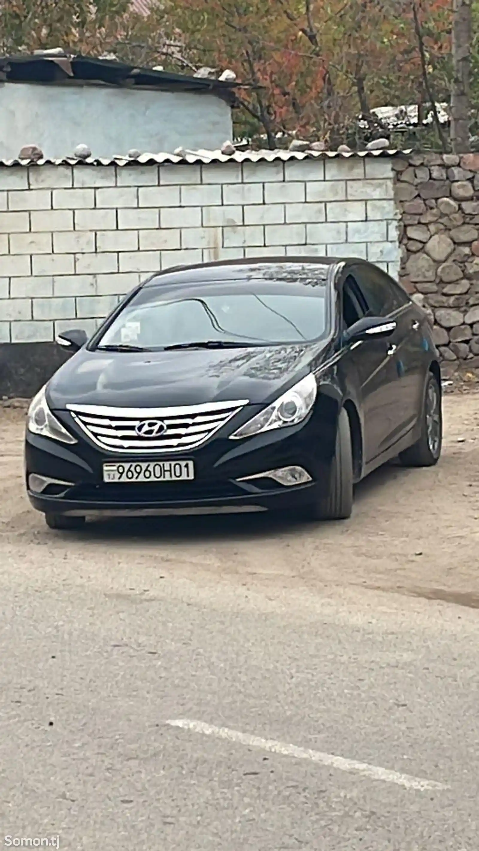 Hyundai Sonata, 2010-1