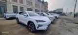 BYD Song Plus Flagship, 2024-3