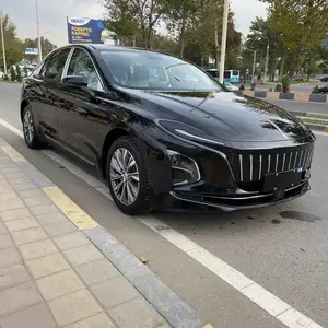 Hongqi E-QM5, 2024