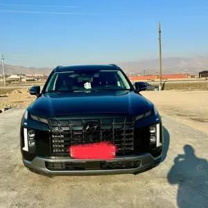 Hyundai Palisade, 2024