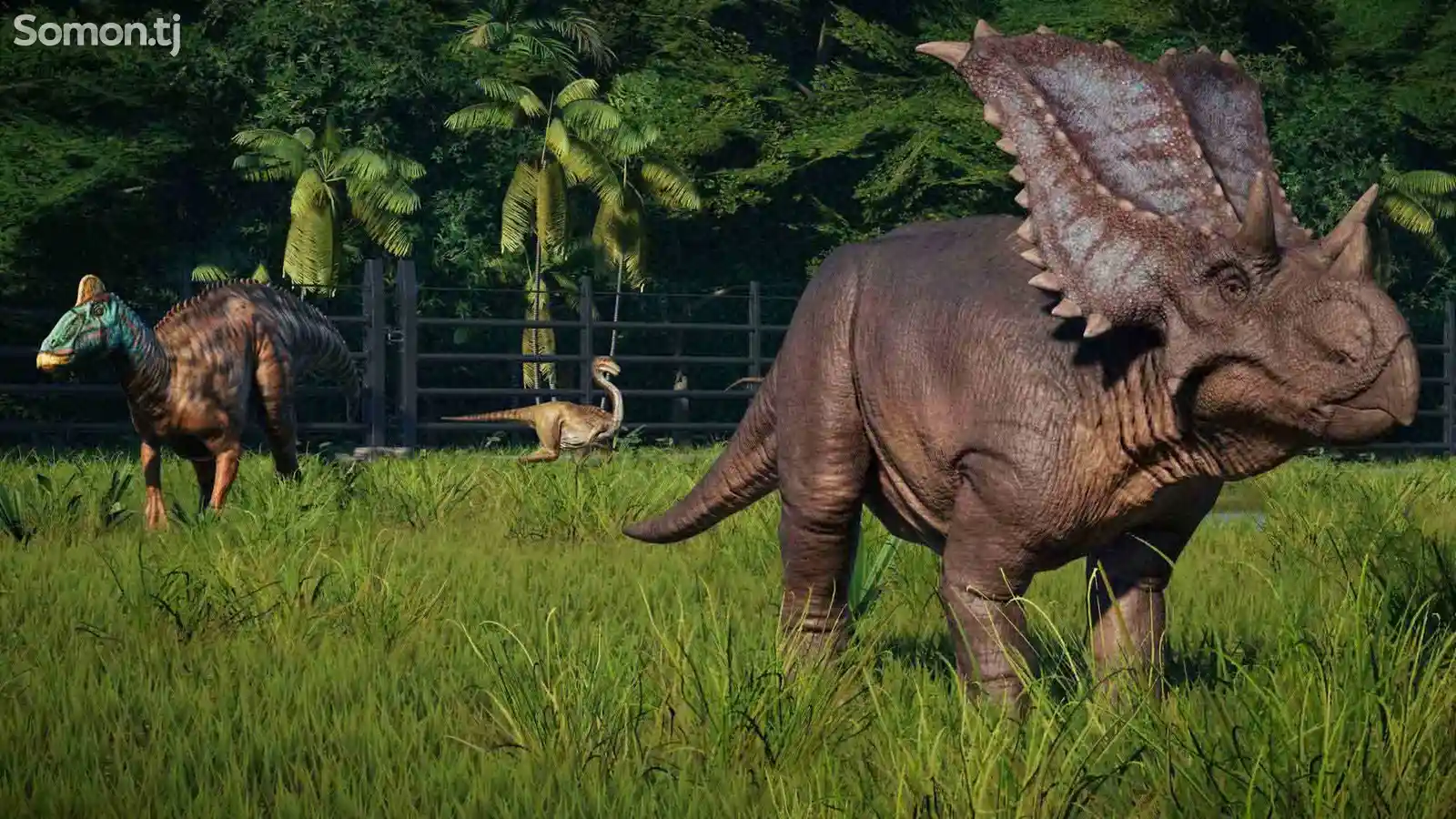 Игра Jurassic world evolution для PS-4 / 5.05 / 6.72 / 7.02 / 7.55 / 9.00 /-2