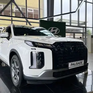 Hyundai Palisade, 2024