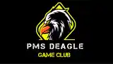 Интернет-кафе Pms Deagle game club-14