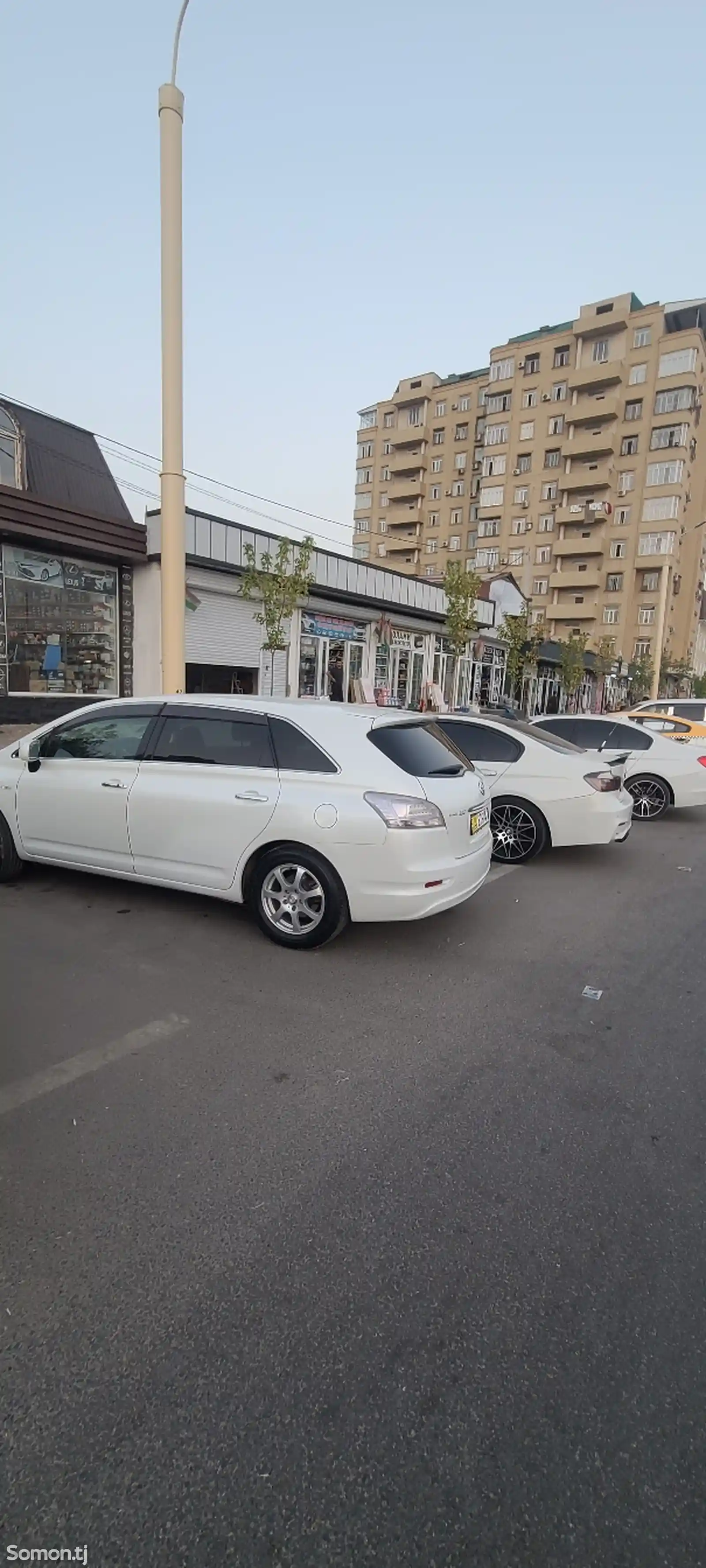 Toyota Mark X ZiO, 2007-3