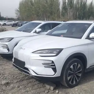 BYD Song Plus Flagship, 2024