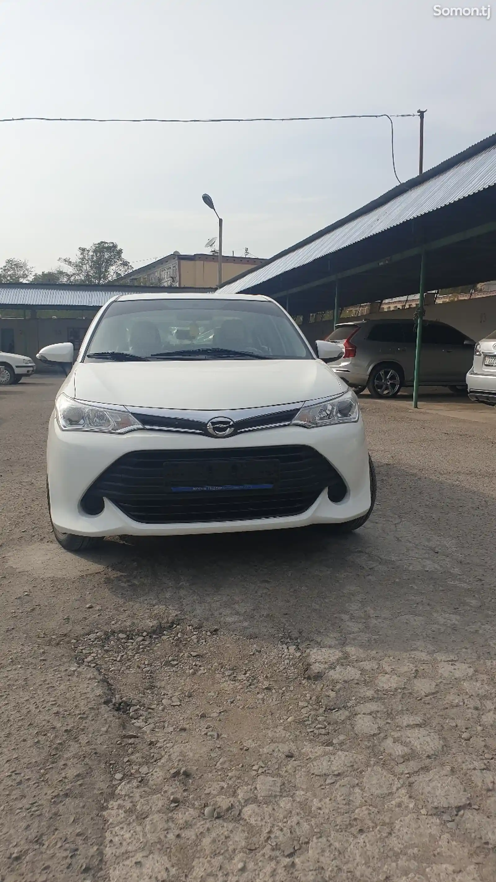 Toyota Axio, 2018-1