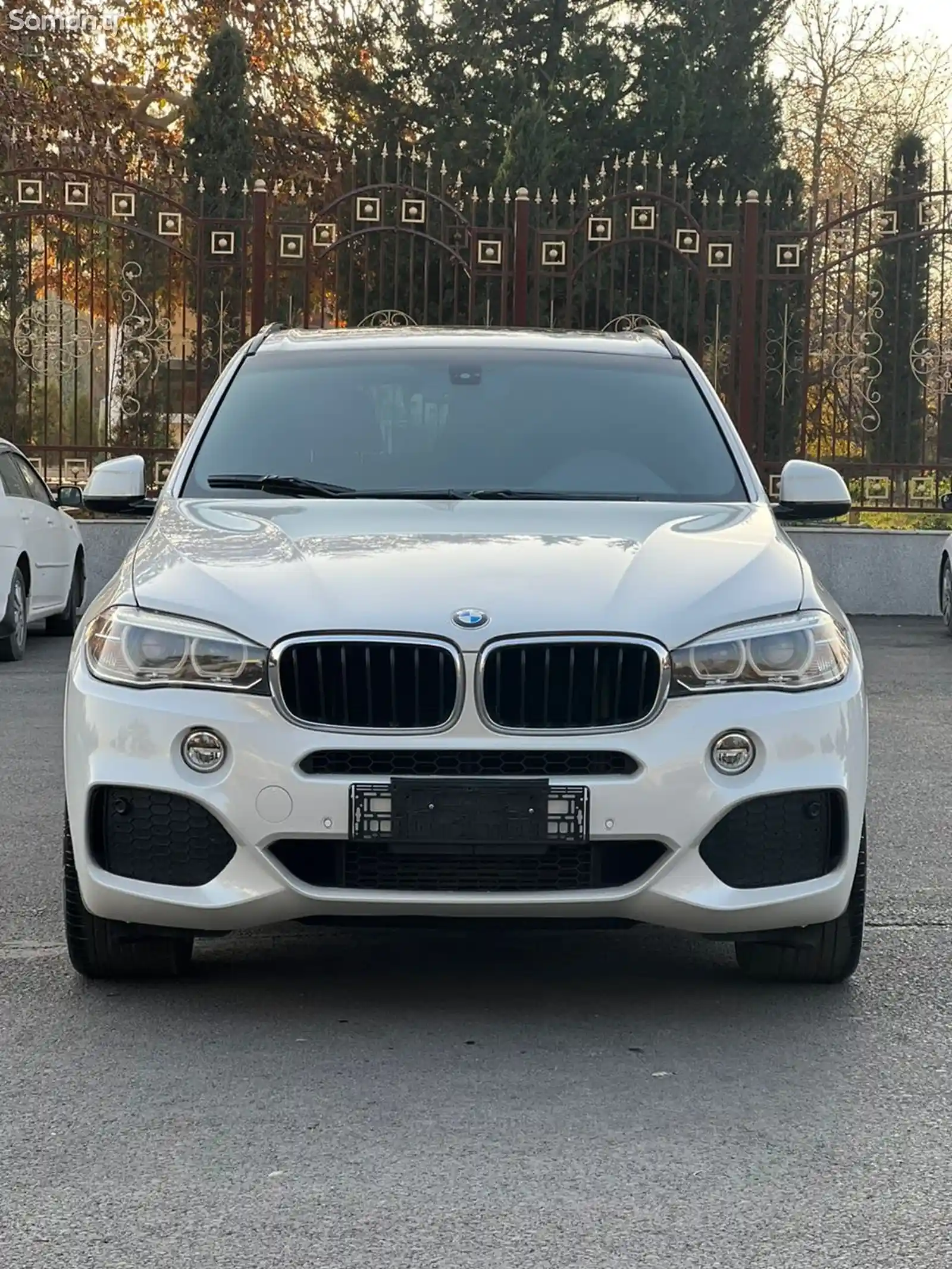 BMW X5, 2014-1