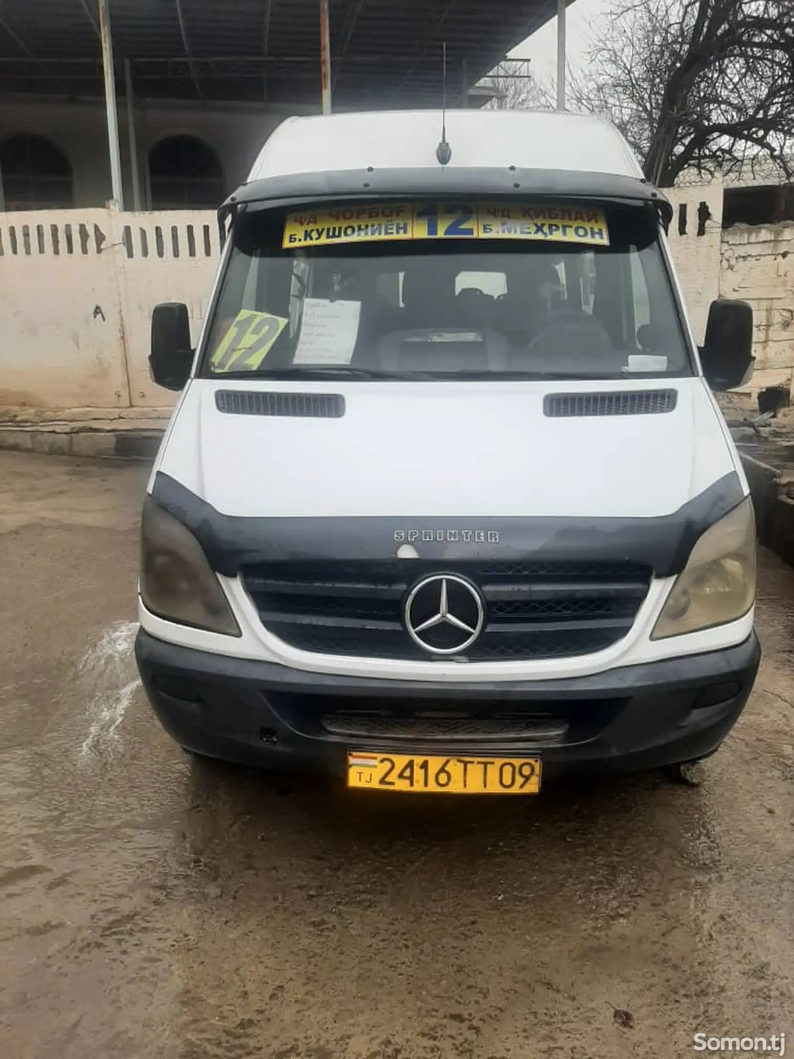 Микроавтобус Mercedes Benz Sprinter,2007-1