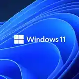 Установка Windows 7-8.1-11-3