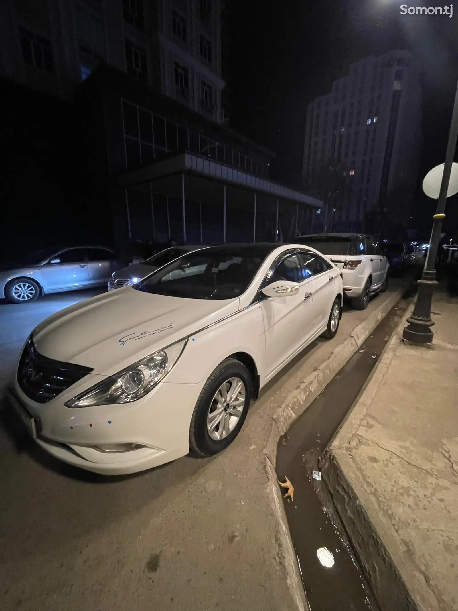 Hyundai Sonata, 2010-1