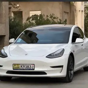 Tesla Model 3, 2020