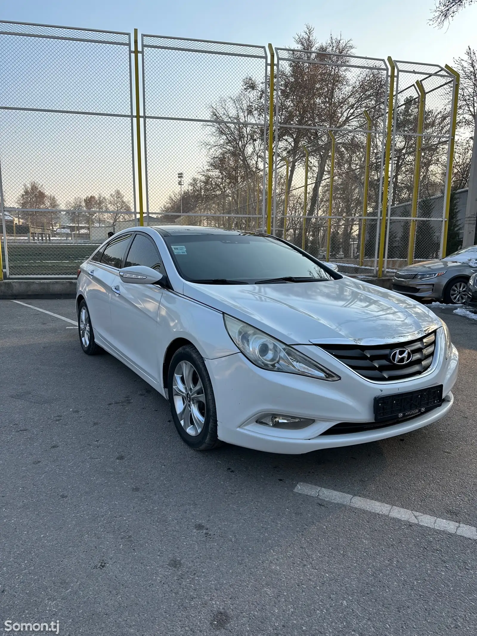 Hyundai Sonata, 2010-1